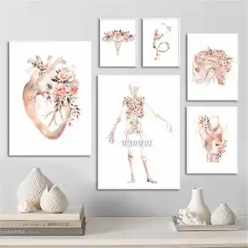Стефани Структура тела Скелет Нервная система Плакат Медицинский Цветок Скелет Сердце Декоративная Роспись Стены Художественный декор