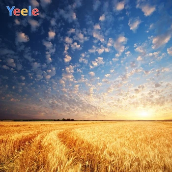 Винил Yeele, Осенний урожай, Пшеничные поля, Стог Сена, Облачное небо, Фон для фотосъемки, Индивидуальный фон для фотосессии в фотостудии